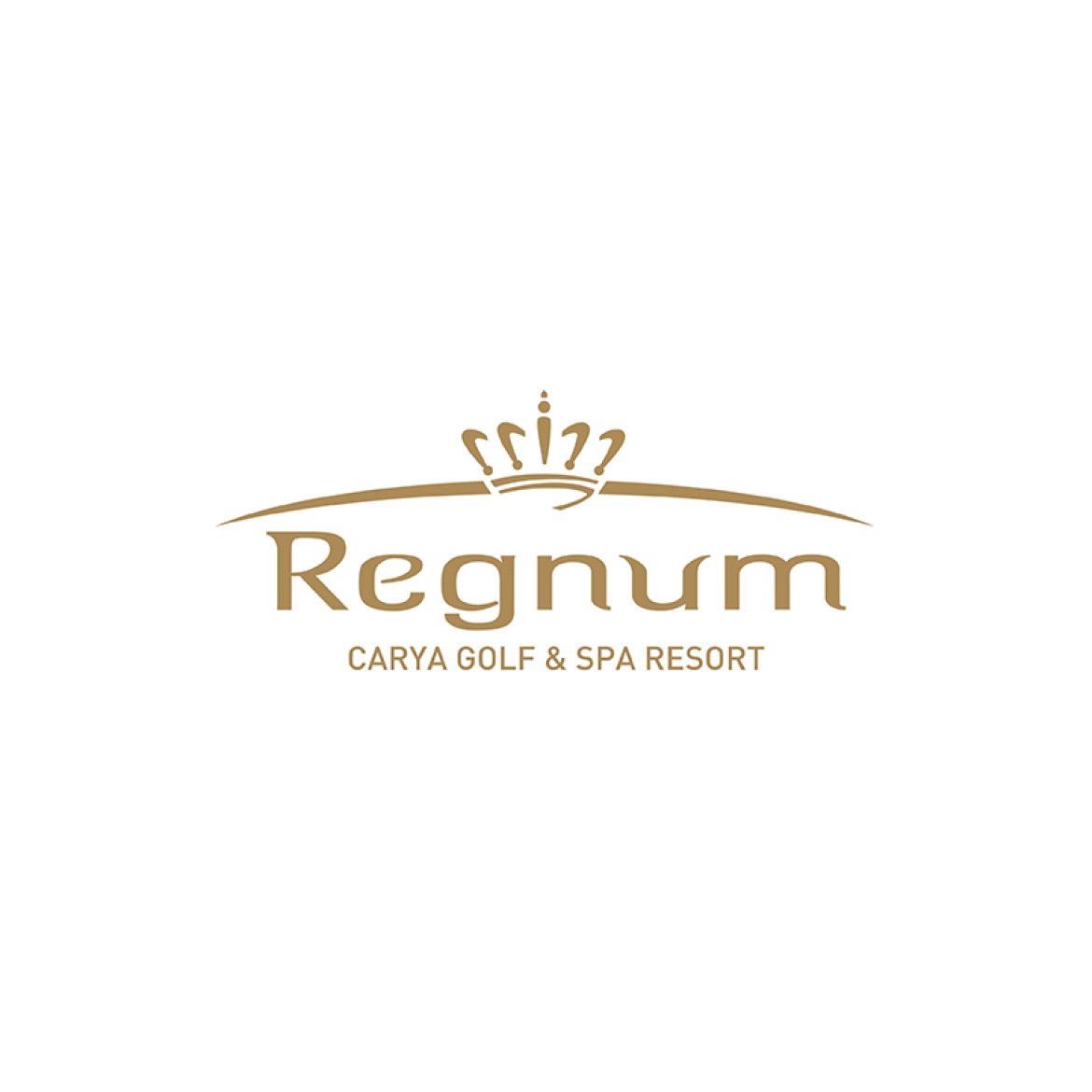 ISC Güvenlik Referans - Regnum